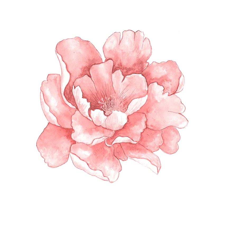 decoration