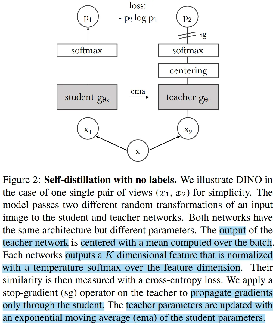 DINO Framework
