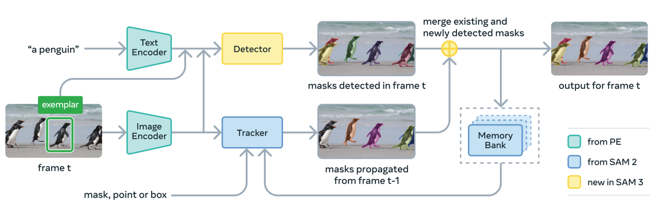 SAM3 Model Diagram