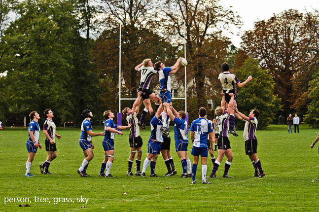 原始输入图像